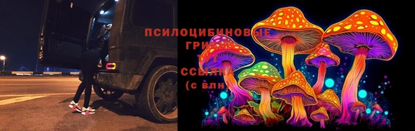 а пвп мука Алексеевка