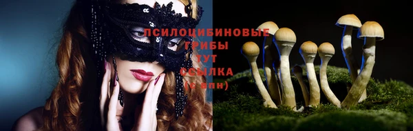 дмт Алексин