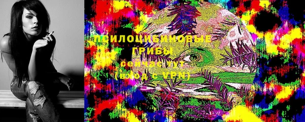 бошки Алзамай