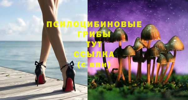 дмт Алексин