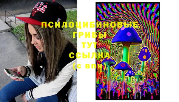 бошки Алзамай