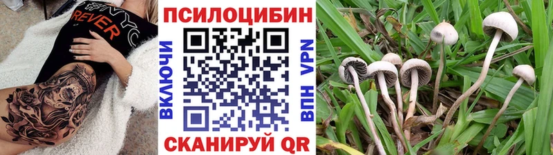 Псилоцибиновые грибы Cubensis  Амурск 