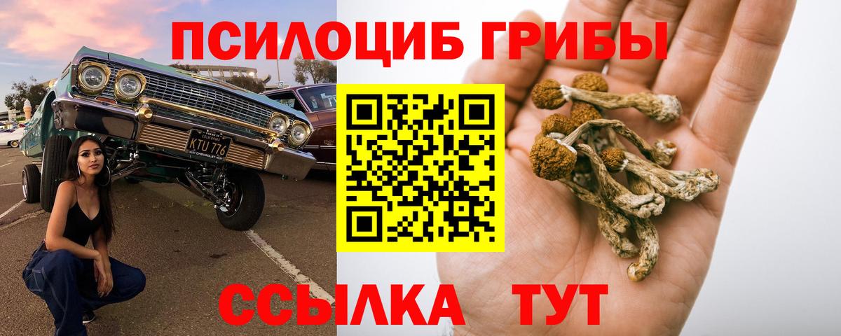 Амурск  Галлюциногенные грибы ЛСД  как найти закладки  Вход с VPN 